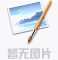 為什么定制匹克球拍正在成為運動市場的"新剛需"？